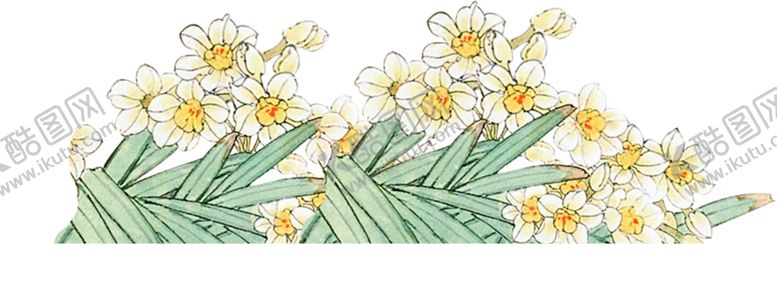 编号：45254607091012259954【酷图网】源文件下载-水仙花