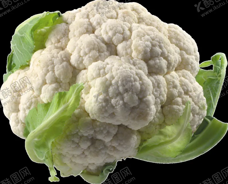 编号：62871010110423336598【酷图网】源文件下载-花椰菜花菜西蓝花