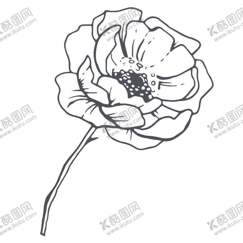 编号：13806510292053309020【酷图网】源文件下载-手绘植物