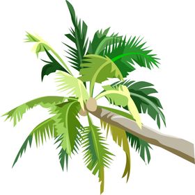 棕榈树