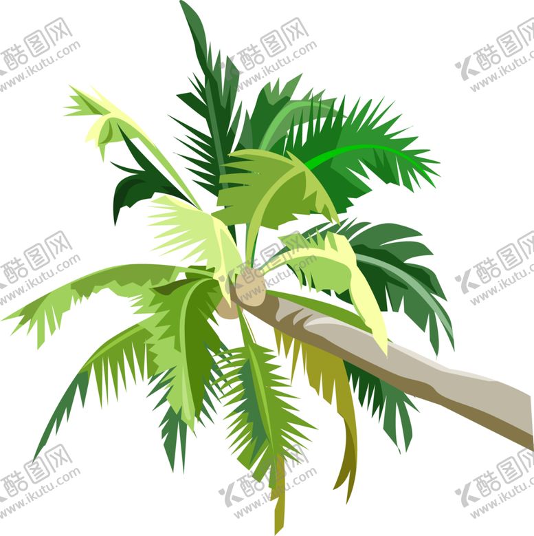 编号：78929106261025143306【酷图网】源文件下载-棕榈树