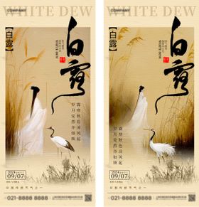 白露节气海报