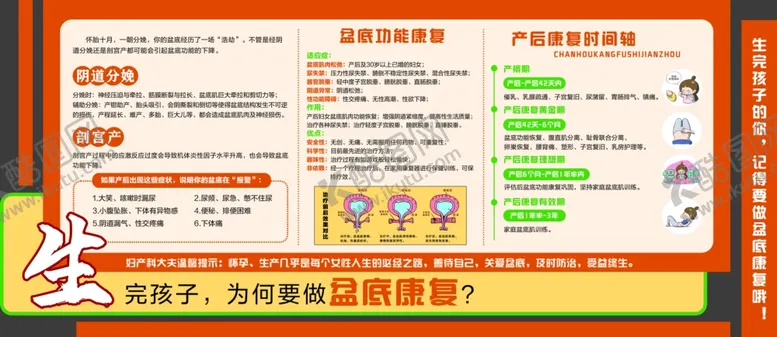 编号：81509702251155353421【酷图网】源文件下载-产后修复文化墙