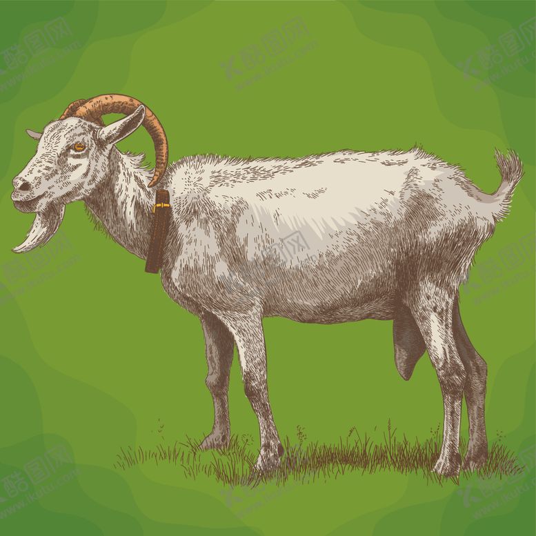 编号：96020309120457242960【酷图网】源文件下载-动物油画