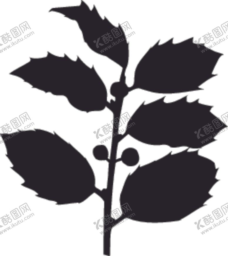 编号：66002610101554573462【酷图网】源文件下载-植物系列树叶