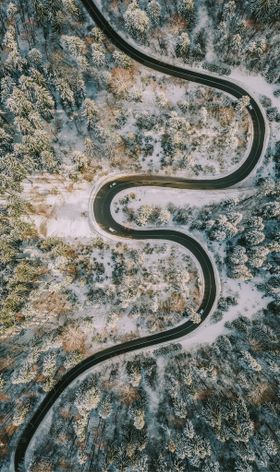 雪山树林装饰画弯曲小路