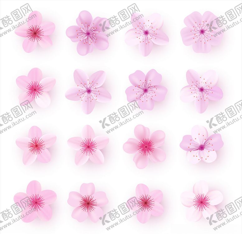 编号：69005809190846003719【酷图网】源文件下载-花卉素材