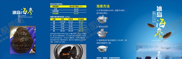 编号：63901511010326492239【酷图网】源文件下载-冰岛海参四折页