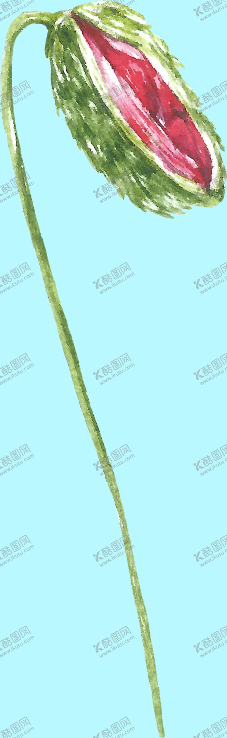 编号：45288307070313214856【酷图网】源文件下载-花卉树叶
