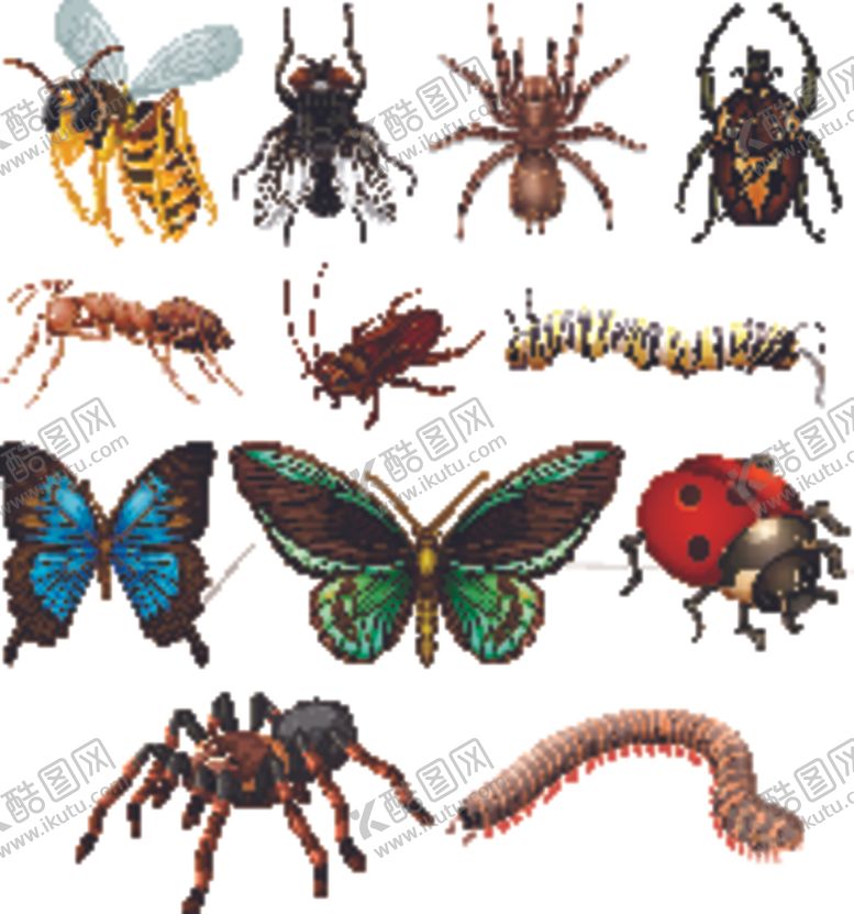 编号：25945910081921339652【酷图网】源文件下载-卡通昆虫