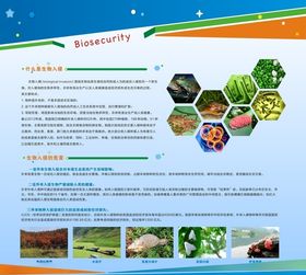 校园生物安全教育