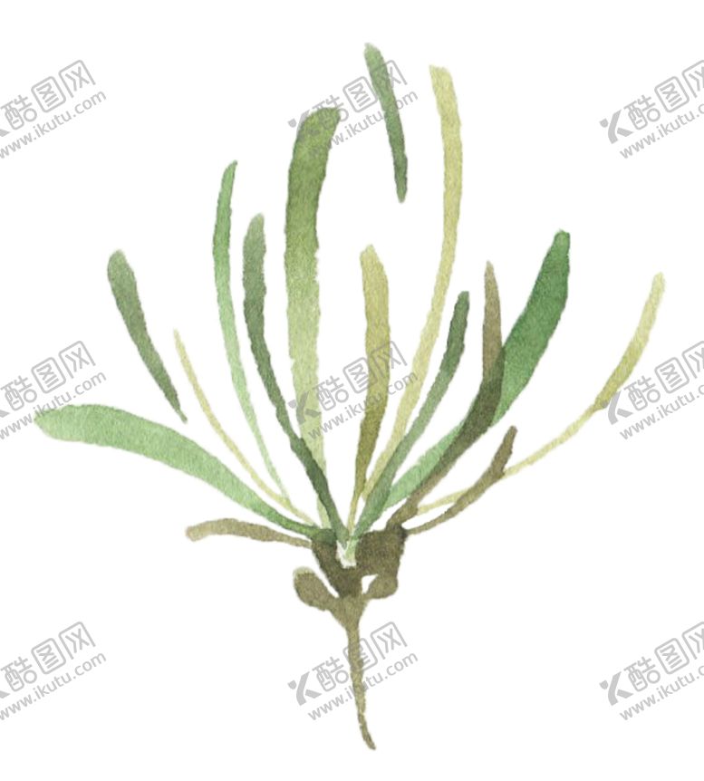 编号：64492205180530455341【酷图网】源文件下载-手绘植物花卉