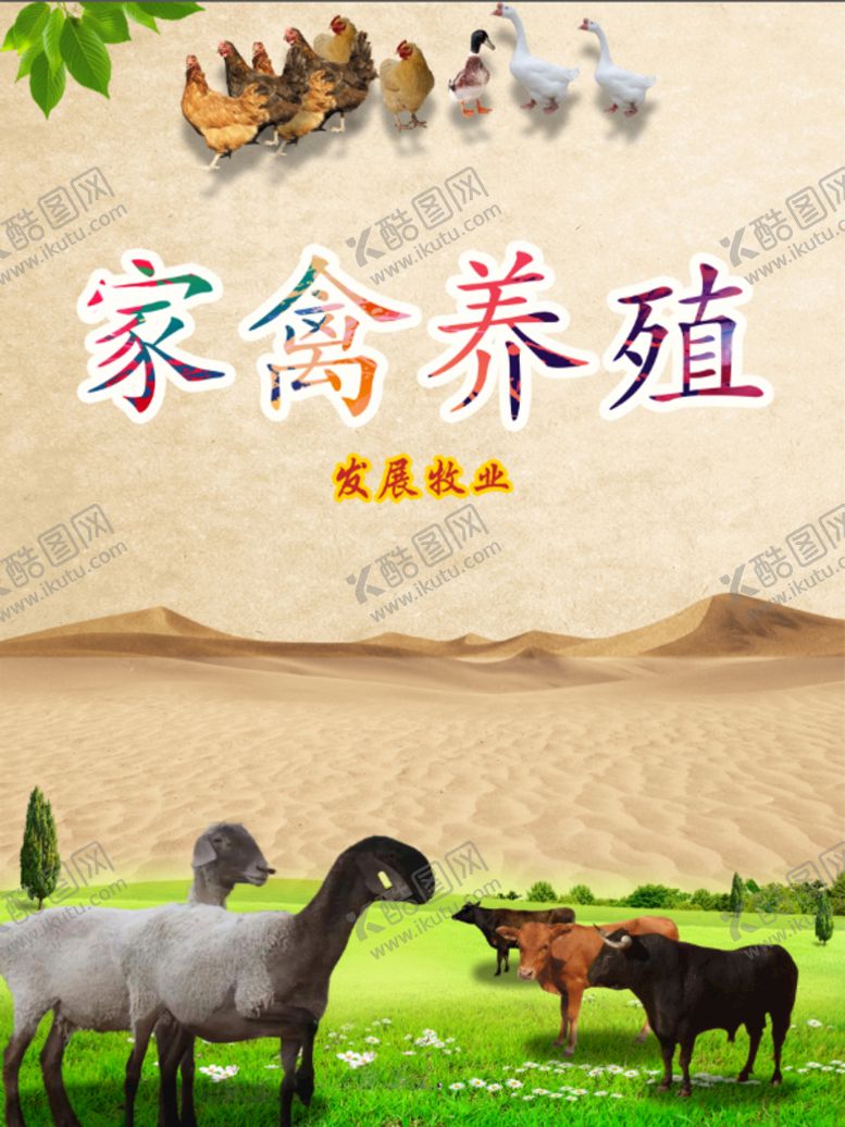 编号：83792509300335557304【酷图网】源文件下载-家禽养殖