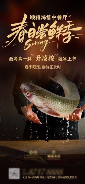 开凌梭鱼