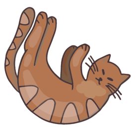 卡通动物猫咪图案