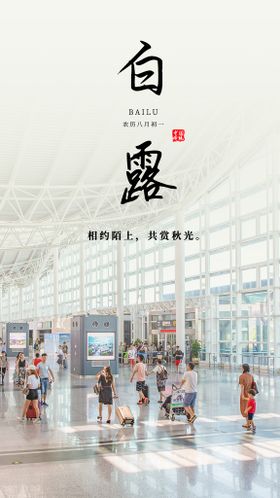 毛里求斯机场