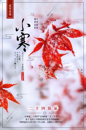 中国风小寒创意海报