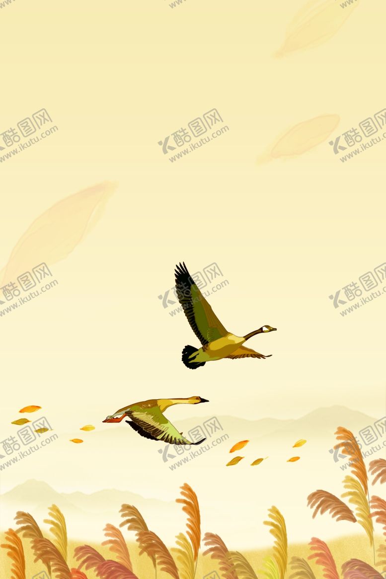 编号：33957911010447048491【酷图网】源文件下载-白露海报