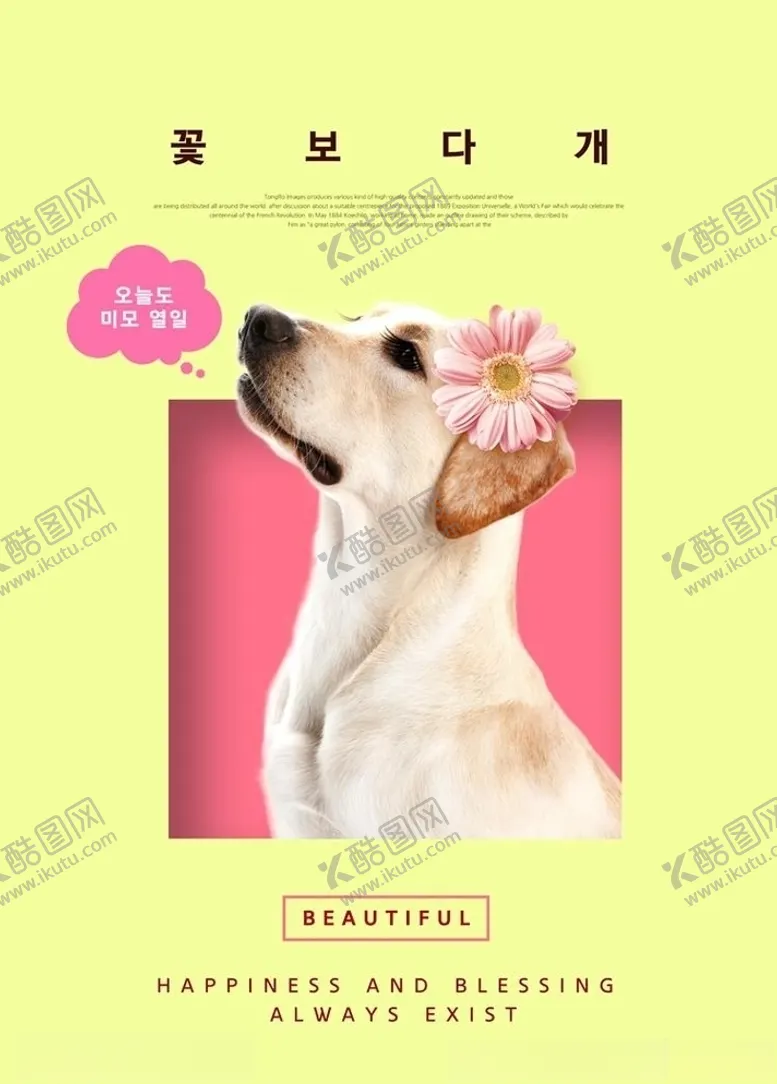 编号：49159105050445223538【酷图网】源文件下载-宠物海报