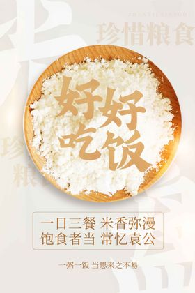 珍惜粮食公益活动宣传海报素材