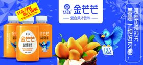 金芒芒