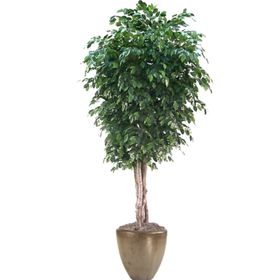 免抠背景花草树木