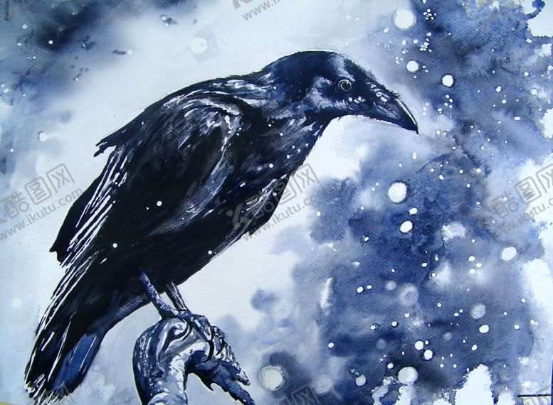 编号：71039209290123563833【酷图网】源文件下载-夜晚乌鸦插画