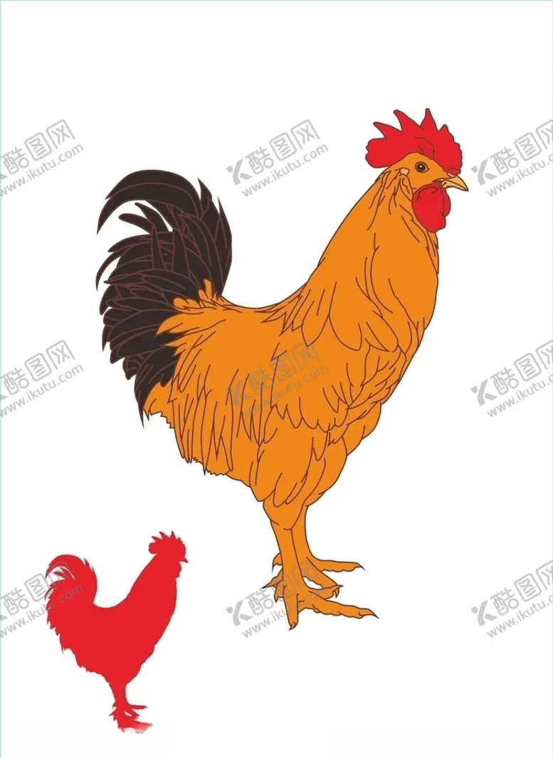 编号：84453205051952379728【酷图网】源文件下载-公鸡