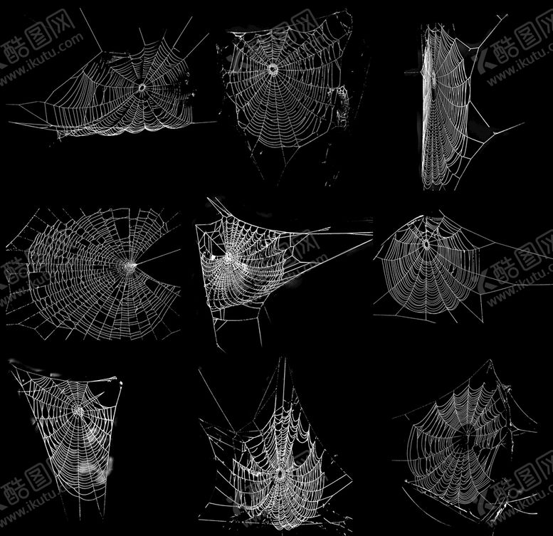 编号：11075810031952497659【酷图网】源文件下载-蜘蛛网