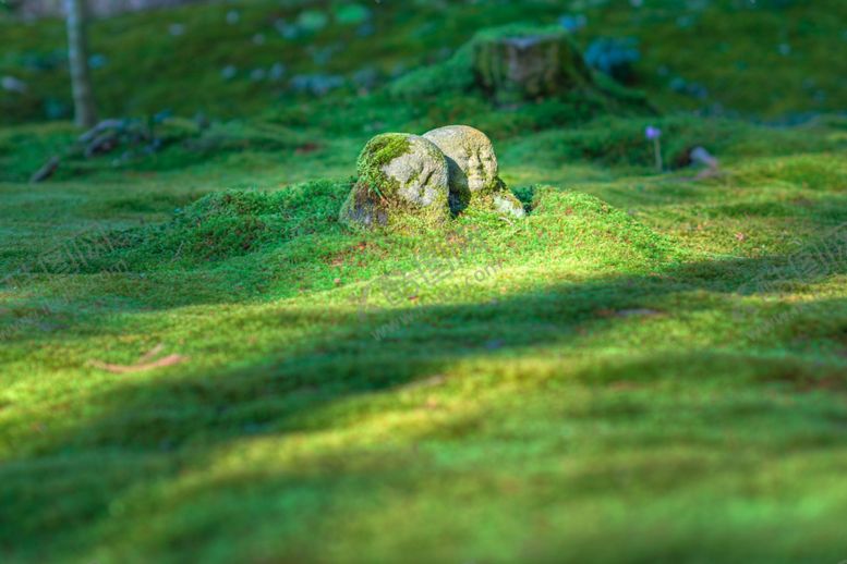 编号：78343409300202458238【酷图网】源文件下载-草坪石块