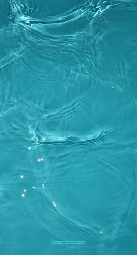 湖江海森林生态系统自然资源大公园
