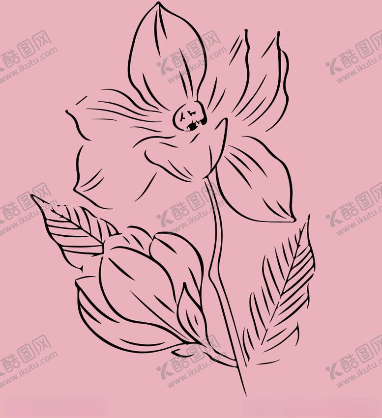 编号：44720302160931052598【酷图网】源文件下载-花朵线稿