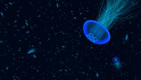 桌面壁纸镜子球体游戏宇宙