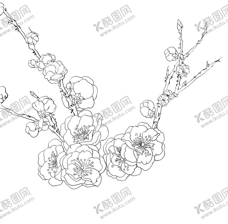 编号：72783509130301501536【酷图网】源文件下载-工笔花卉