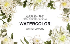唯美清新花卉素材