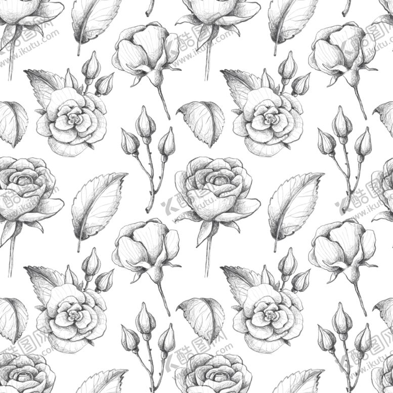 编号：79882210290018191922【酷图网】源文件下载-玫瑰花素描背景