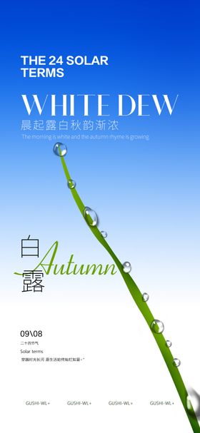二十四节气海报 白露海报