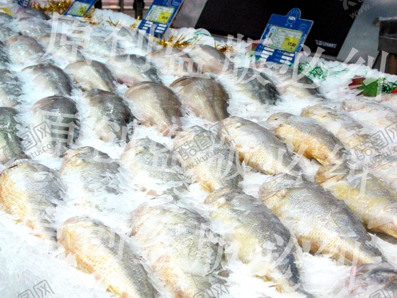 编号：30931409220623115133【酷图网】源文件下载-鱼类