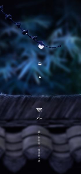 雨水雨水海报雨水节气