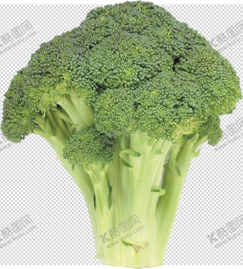 编号：16859104271441231733【酷图网】源文件下载-西蓝花花菜