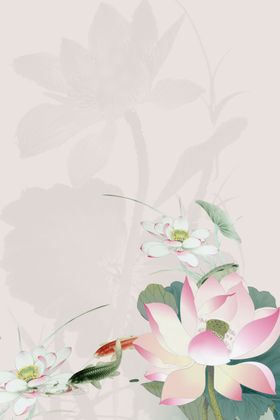 荷花