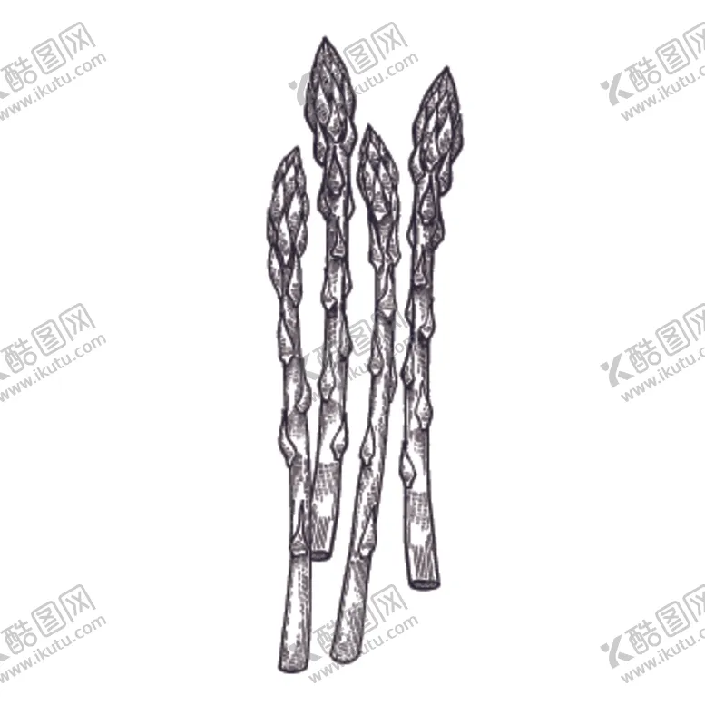 编号：94948107010606303117【酷图网】源文件下载-餐饮食物插画元素