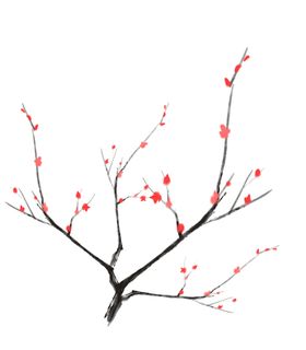 中国风水墨梅