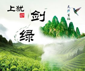 绿茶标签