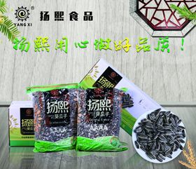 瓜子海报图片