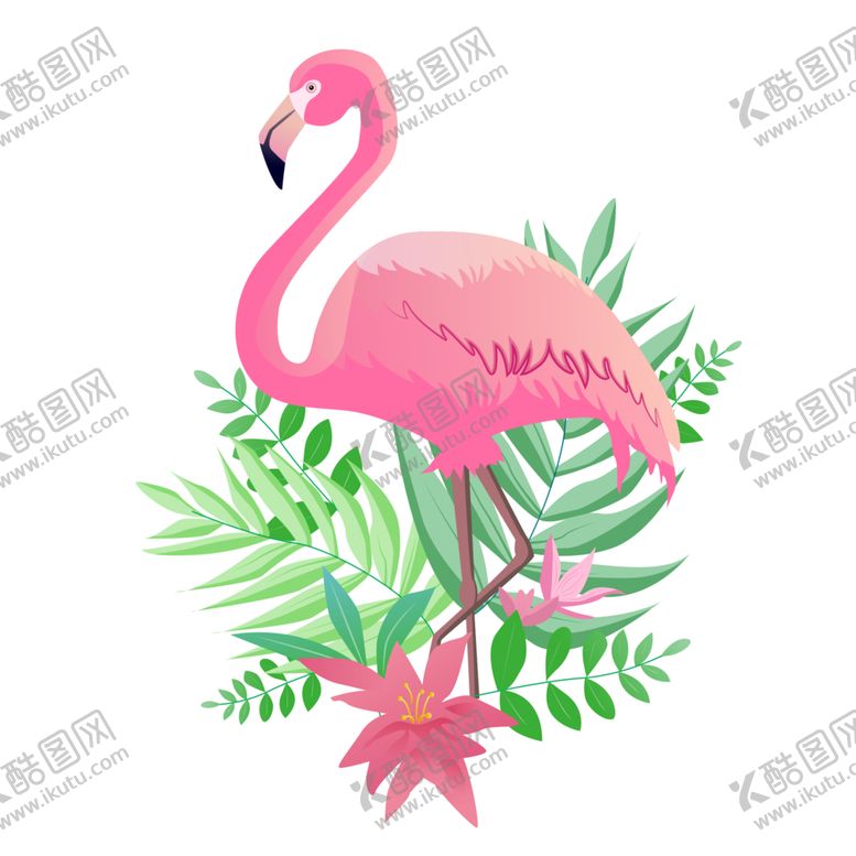 编号：69860402180144553354【酷图网】源文件下载-火烈鸟