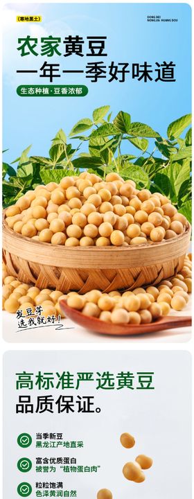 黄豆大豆详情页