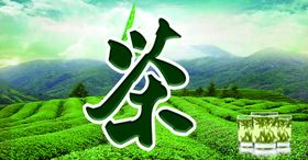 茶叶海报背景