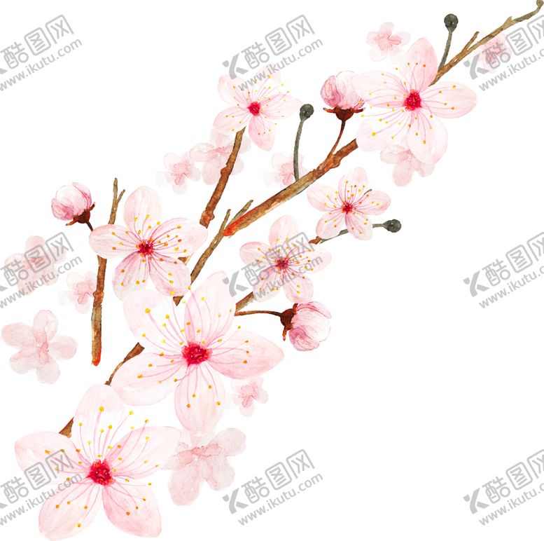 编号：85569610231335082291【酷图网】源文件下载-手绘植物花卉