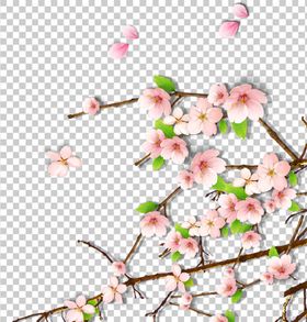 梅花